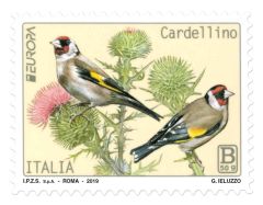Europa 2019 - Cardellino