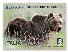 Europa 2021 - Orso Bruno