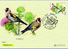 Europa 2019 - Cardellino