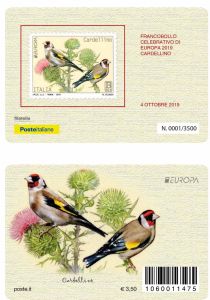 Europa 2019 - Cardellino