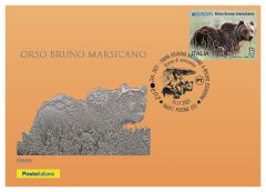 Europa 2021 - Orso Bruno